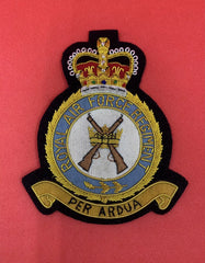 Royal Air Force Regiment Blazer Badge RAFR Hand Embroidered Bullion Wire Badge
