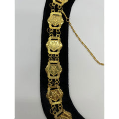 Masonic Regalia Order of Eastern Star Patron Gold Metal Chain Collar On Black Velvet