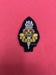 Royal Army Education Corps Beret Badge RAEC Embroidered Bullion Wire Cap Badge