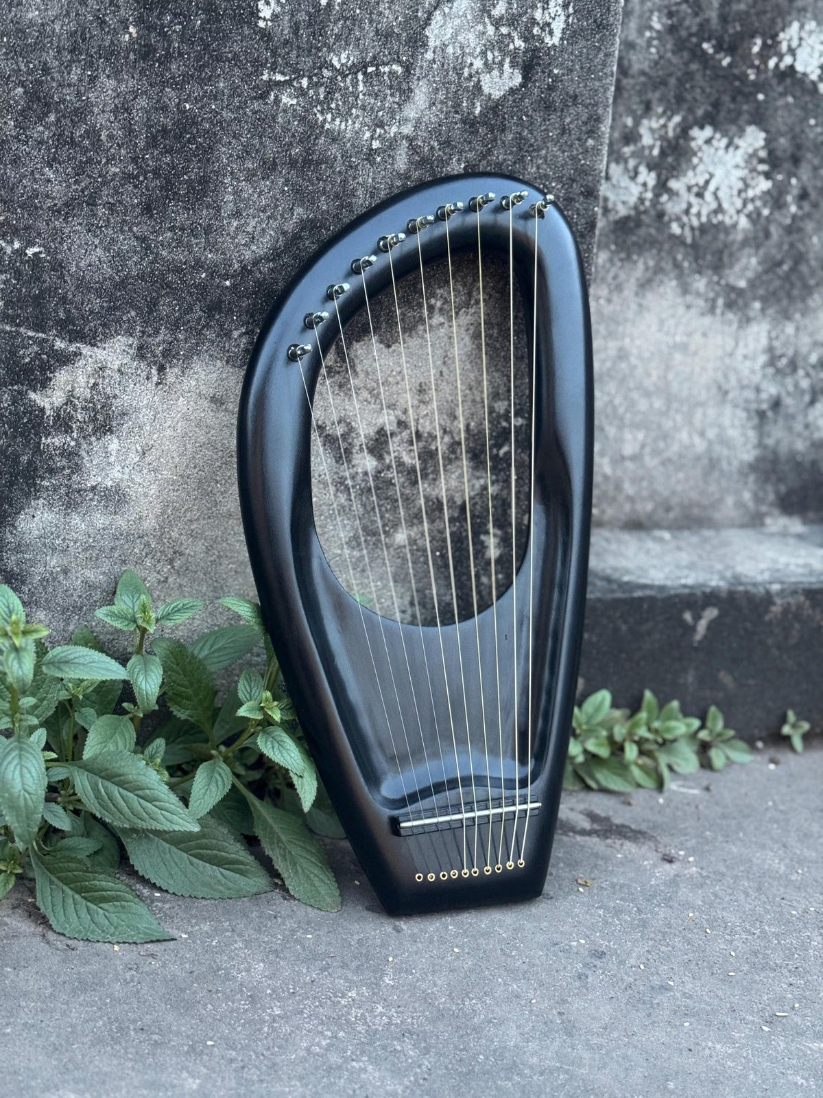 Black 10-String Pentatonic Lyre Harp, Premium Wooden Harp with Tuning Key & Extra Strings