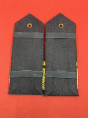Air Vice-Marshal RAF Regiment Embroidered Gold Bullion Shoulder Epaulettes Rank Insignia