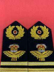 Air Vice-Marshal RAF Regiment Embroidered Gold Bullion Shoulder Epaulettes Rank Insignia